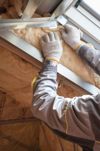Best Insulation Inspection Services  in Utica, SC